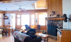 Norway Spruce Cabin - Woodland view.