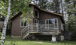 Quaking Aspen Cabin - Woodland view.