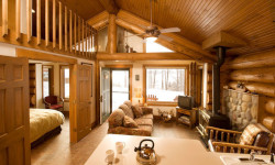 White Pine Cabin - Woodland view.