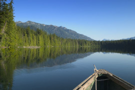 A boat on a lake surrounded by green pine trees.