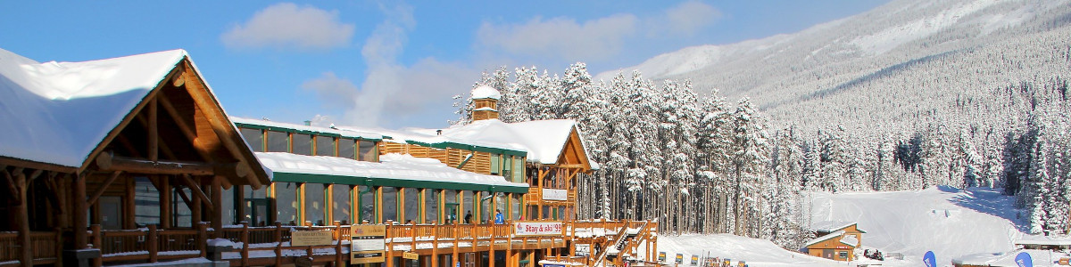 Large lodge with fresh snow on surrounding trees.
